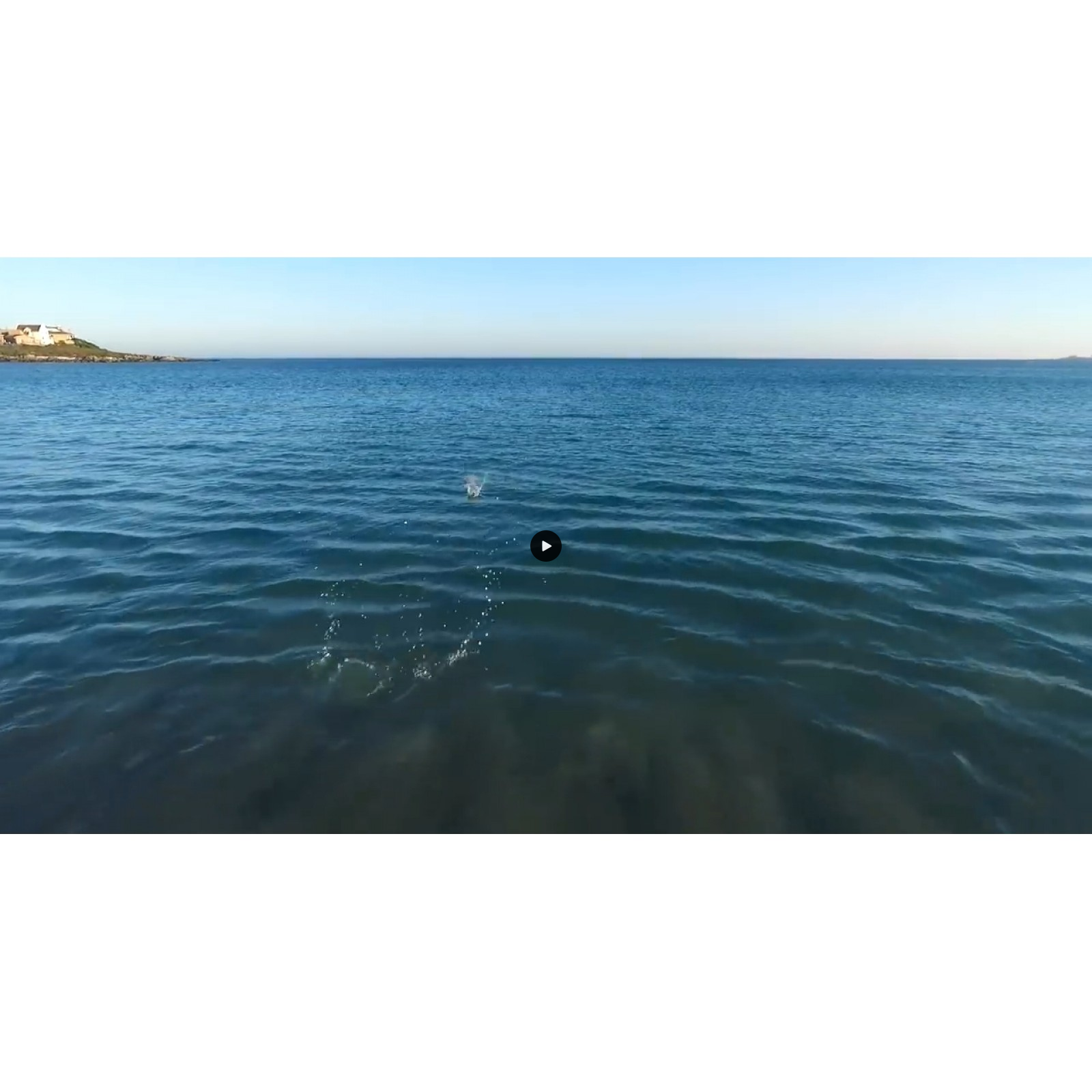 Kick It Crop Tee - Bronze